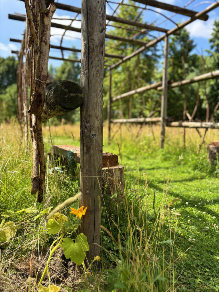 Permacultuur constructie met bloeiende pompoenplant in het voedselbos van Landgoed de Zelt